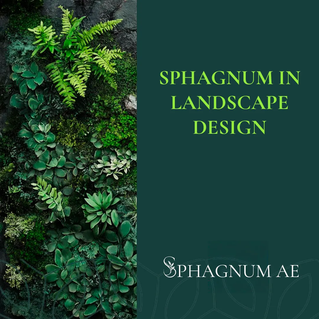 Sphagnum in landscape design