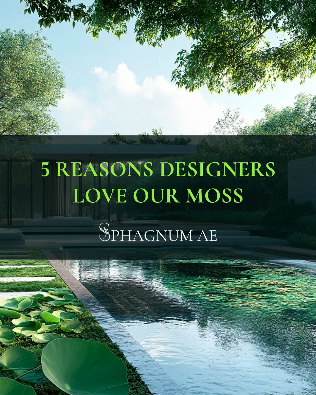 5 reasons designers love our moss