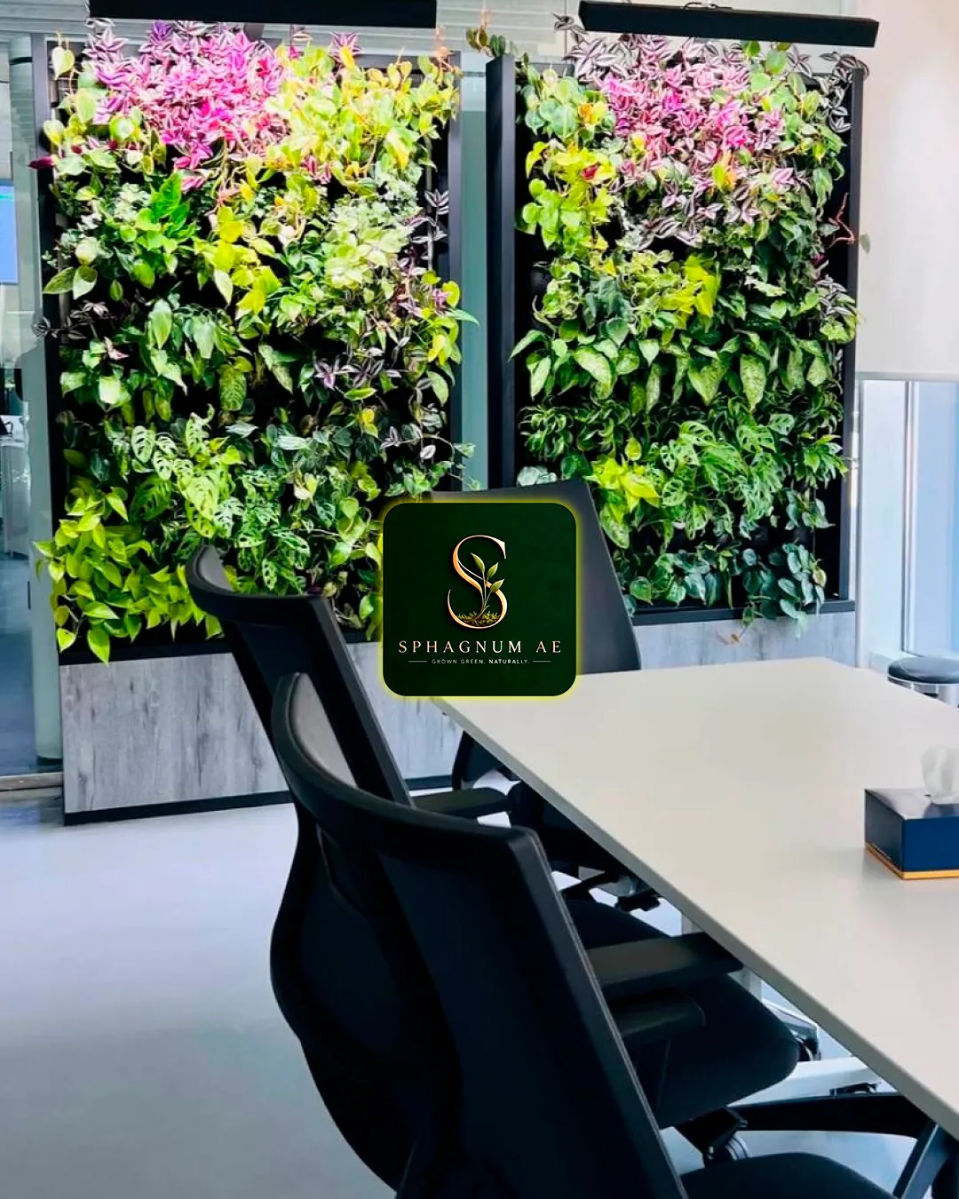 Living moss wall in an office